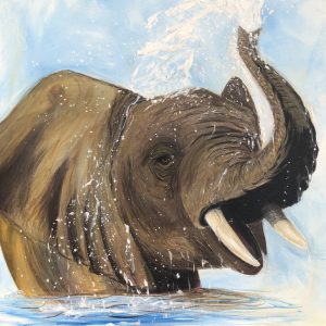 African elephant tossing water onto his head whilst standing in the water