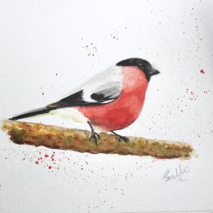 red chested bull finch sitting on a twig - watercolour