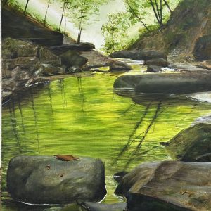 green trees with the light coming through. rocks in the foreground and the light reflecting in the water around the edges of the rocks